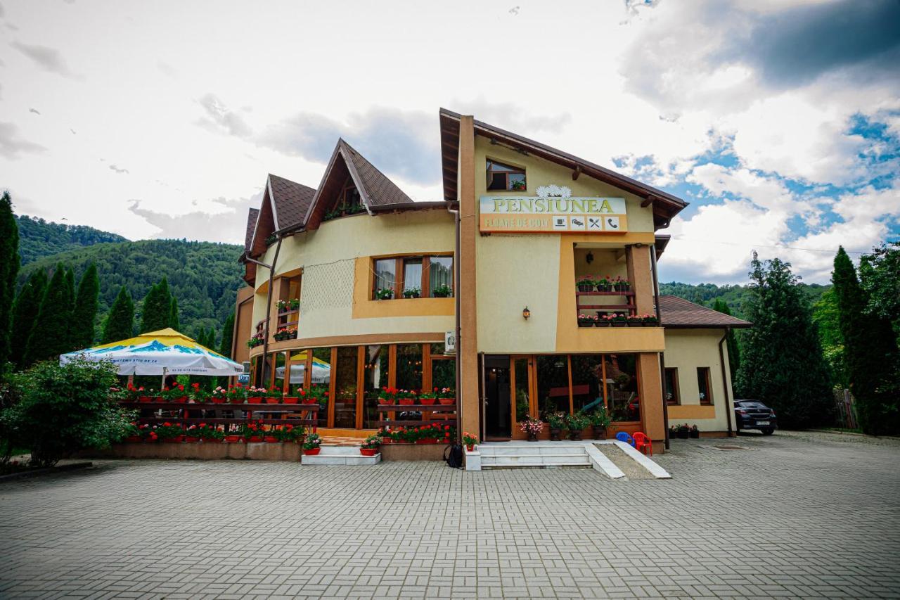 Pensiunea Floare De Colt Dragoslavele Exterior foto
