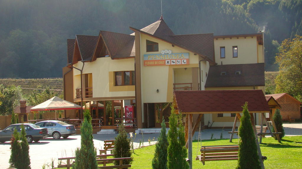 Pensiunea Floare De Colt Dragoslavele Exterior foto