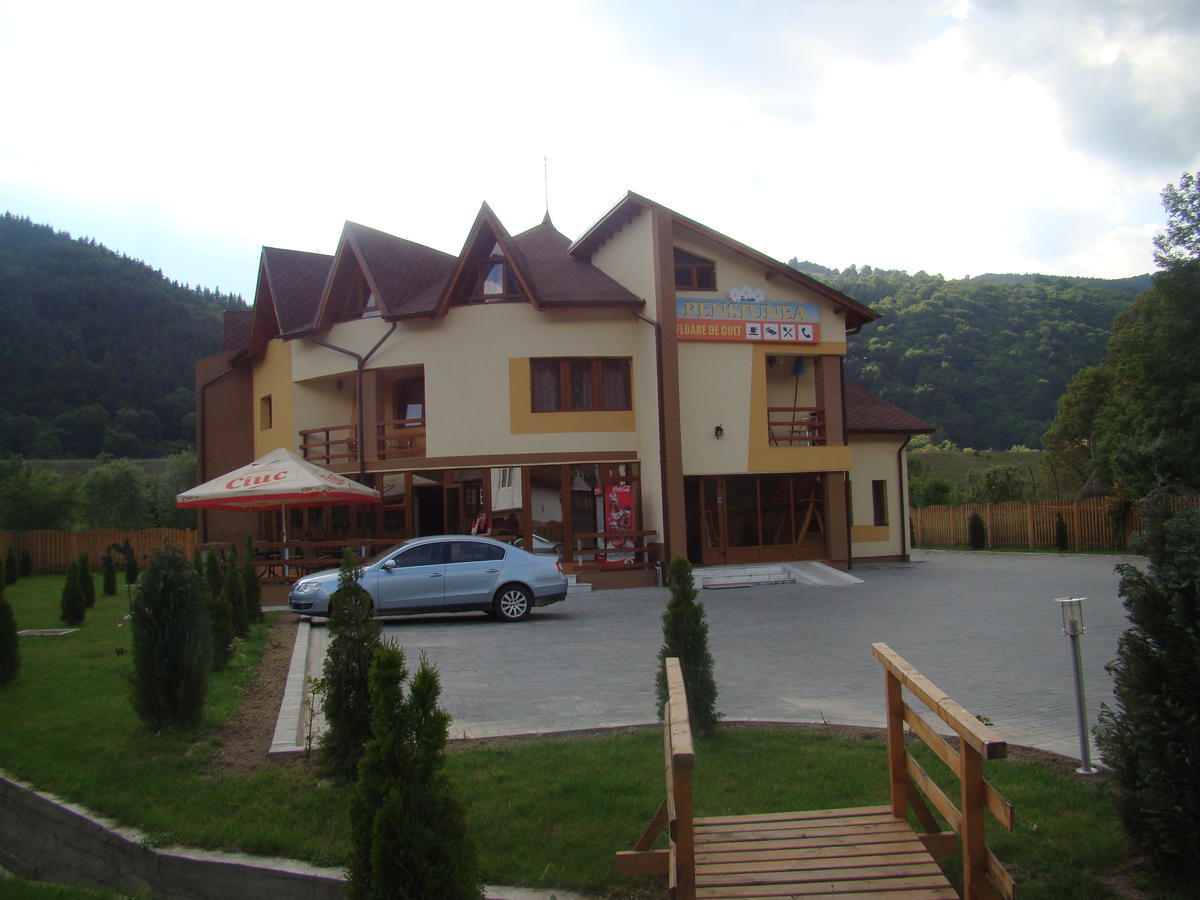Pensiunea Floare De Colt Dragoslavele Exterior foto