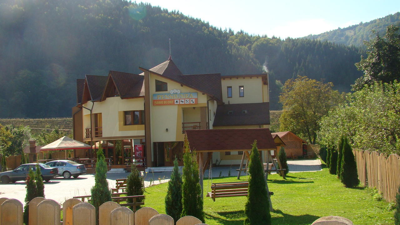 Pensiunea Floare De Colt Dragoslavele Exterior foto