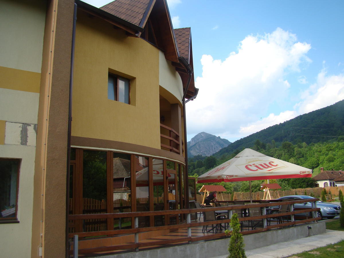 Pensiunea Floare De Colt Dragoslavele Exterior foto