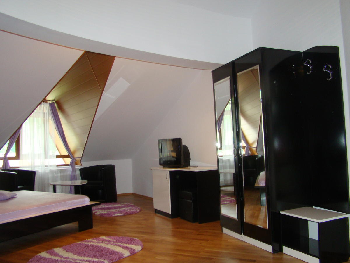 Pensiunea Floare De Colt Dragoslavele Zimmer foto