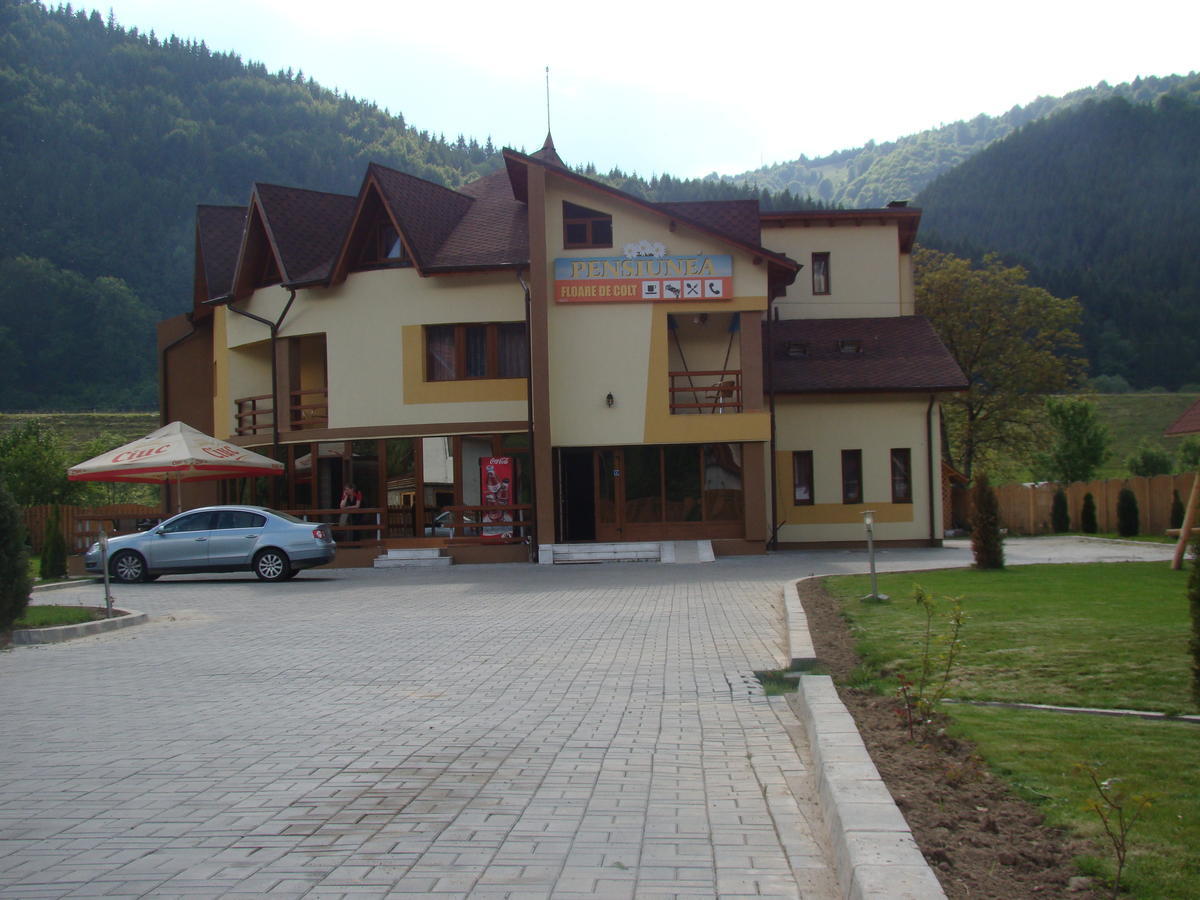 Pensiunea Floare De Colt Dragoslavele Exterior foto