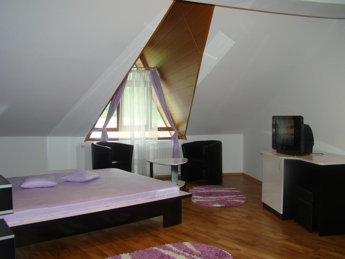 Pensiunea Floare De Colt Dragoslavele Zimmer foto