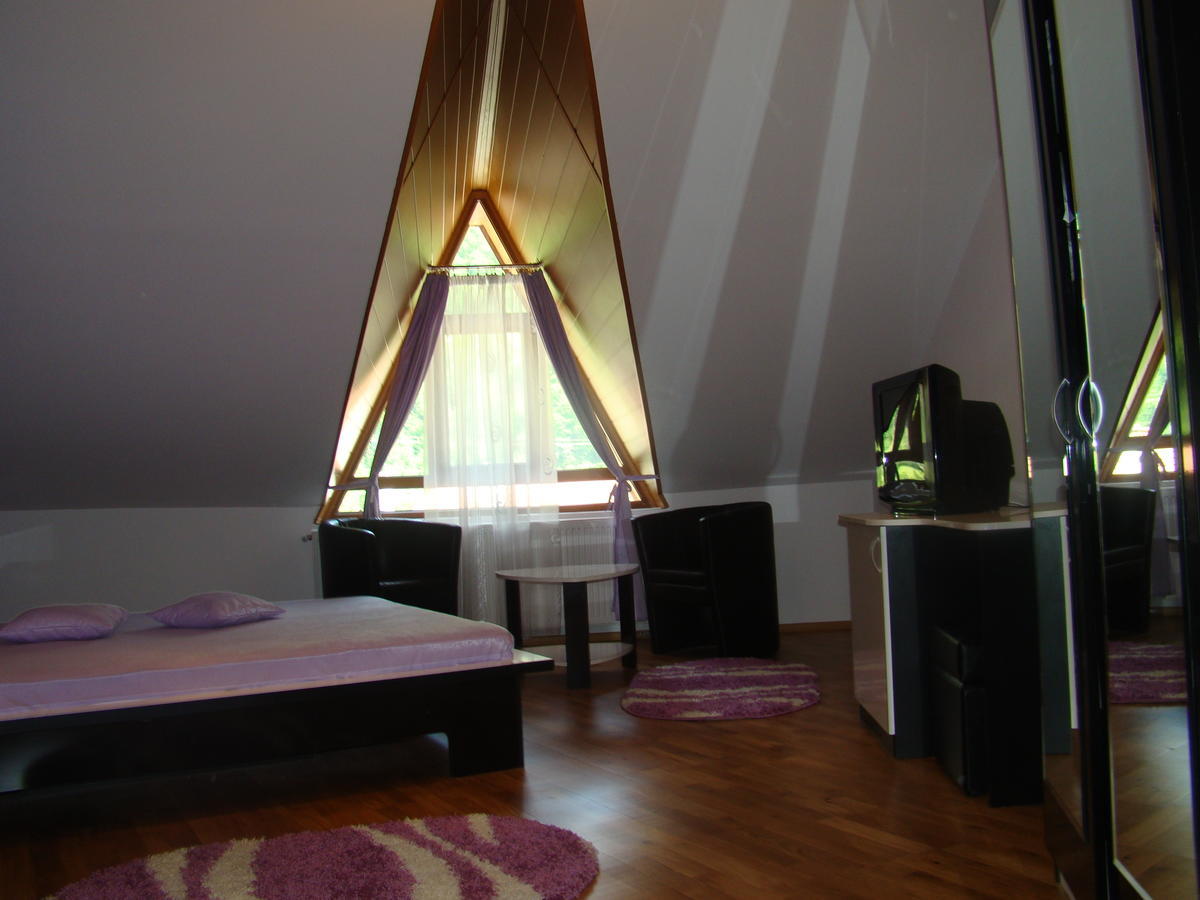 Pensiunea Floare De Colt Dragoslavele Zimmer foto