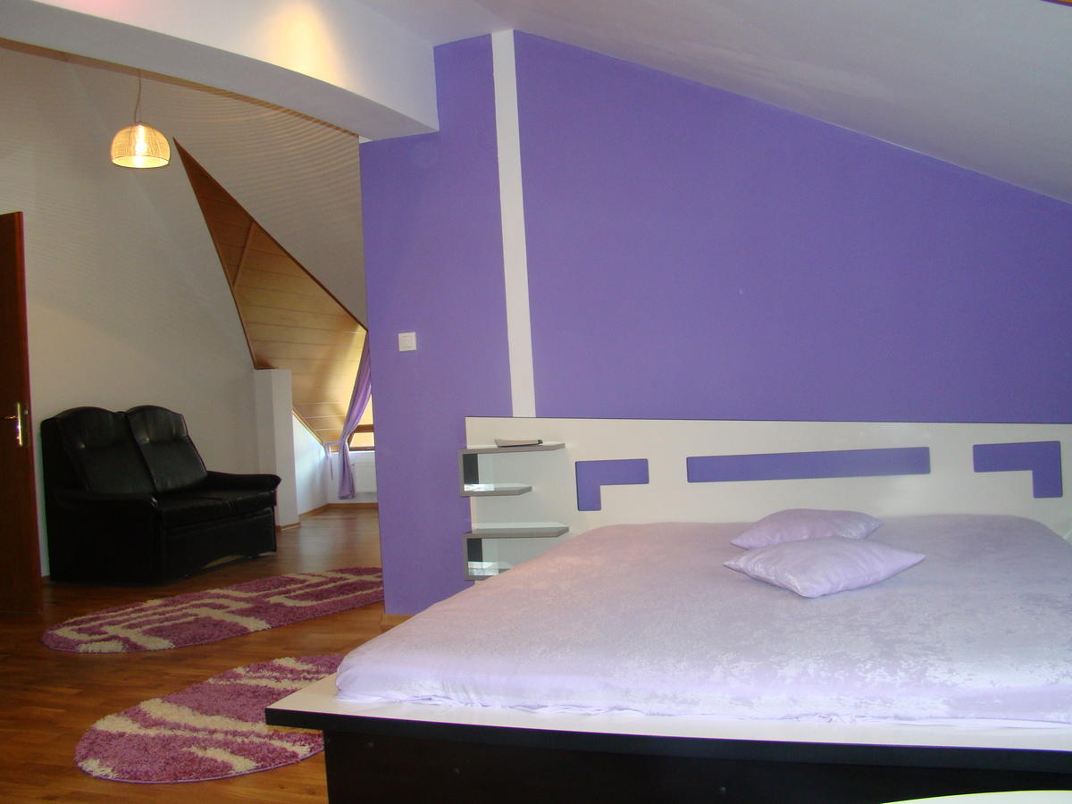 Pensiunea Floare De Colt Dragoslavele Zimmer foto